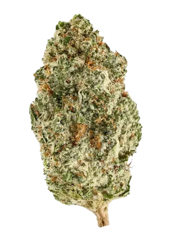 420 Evolution 30/1 CA TGP