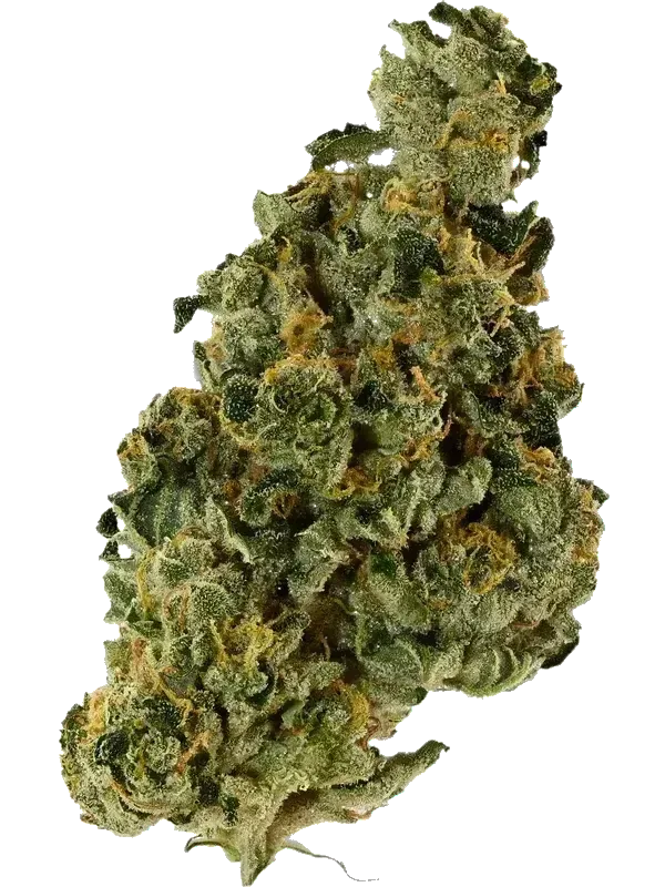 GMOSI