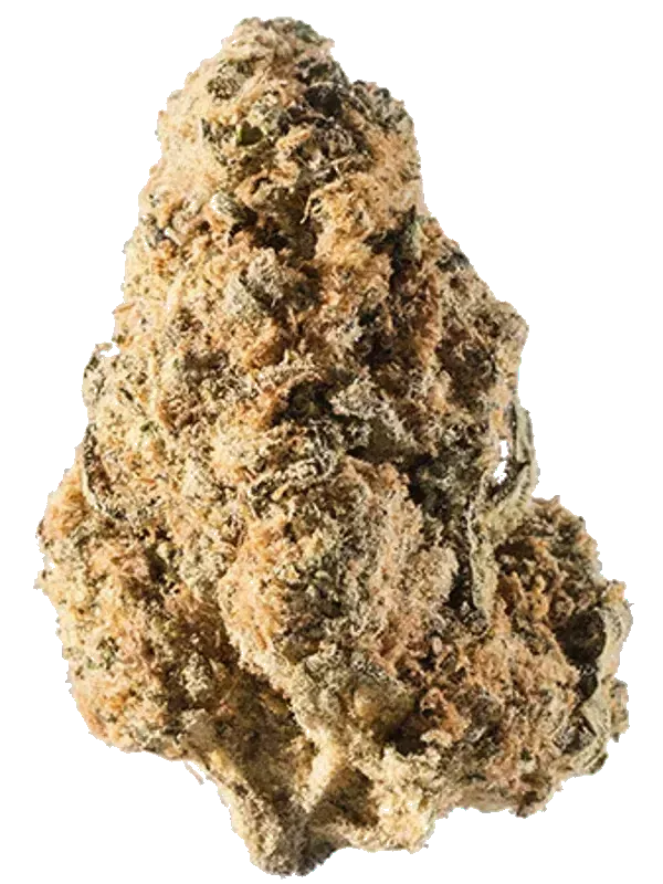 Canify Cannabis flos 18/1 PT Mango