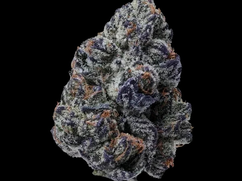 HAPA pharm 20/1