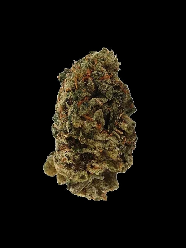 IMC FTY THC25