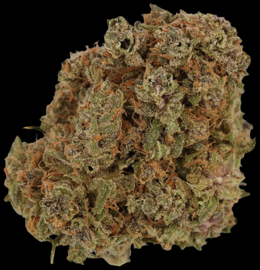 Aurora 20/1