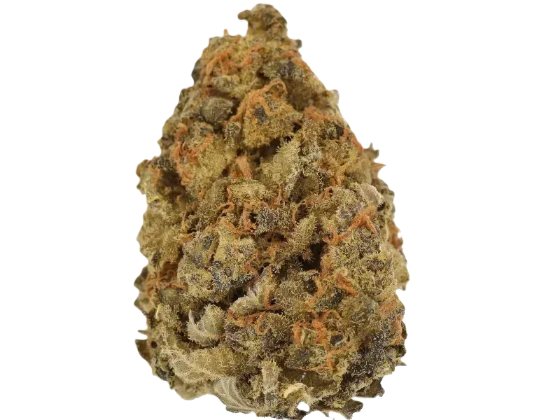 Bathera 30/1 Polar Pop