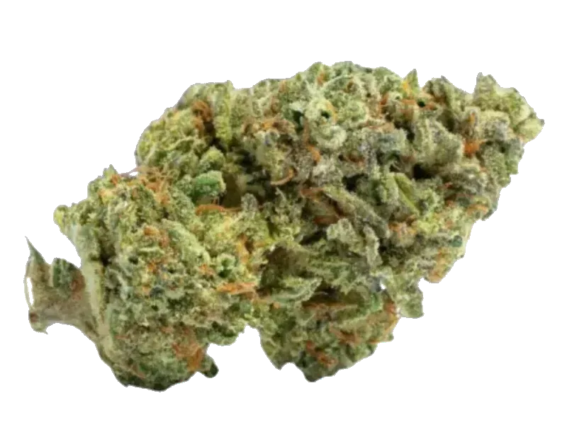 Beacon SCP T30 Sweet Cherry Pie