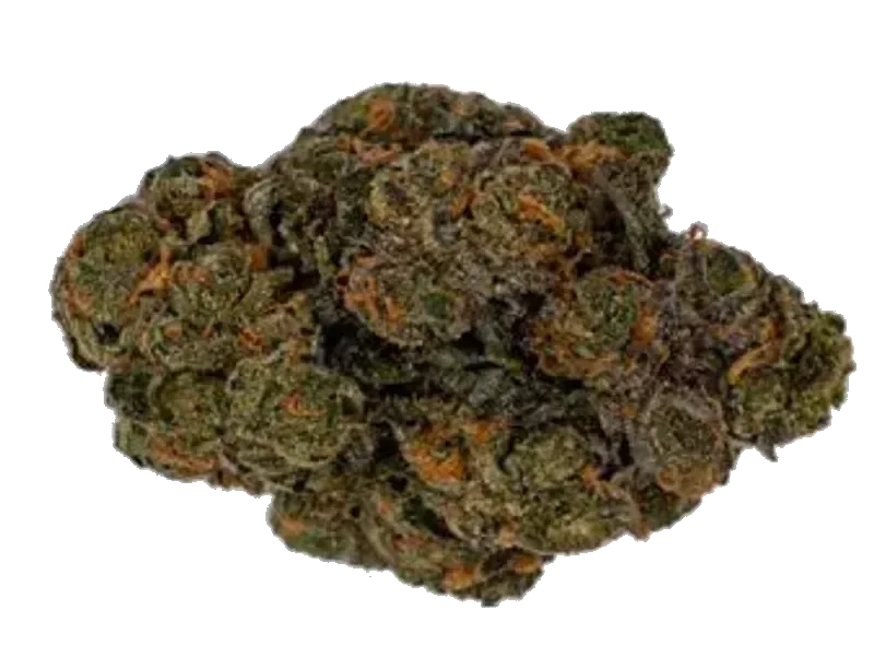 Nothern Lime Pie