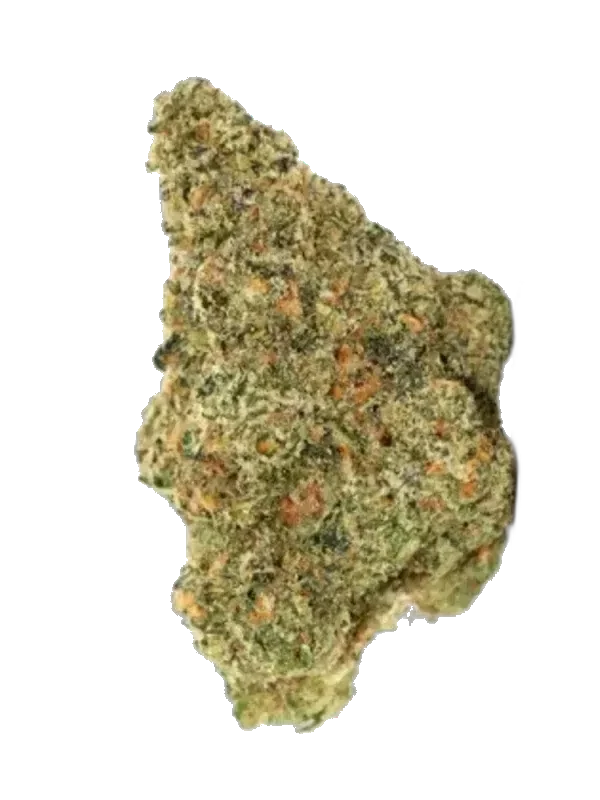 Cannamedical Sativa Classic NM
