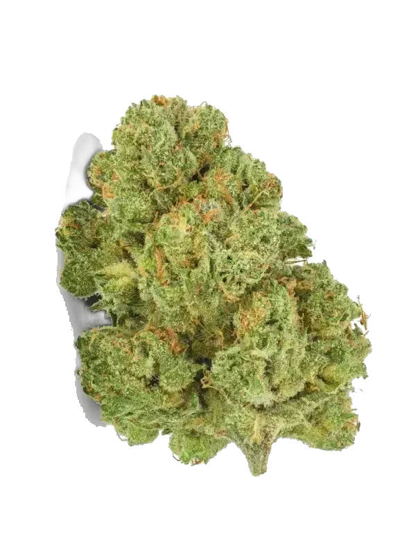Cannabis flos 27/1 CSF Ku. Bunatic DP