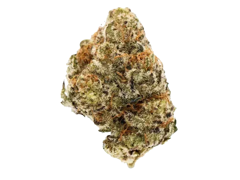 Ekolicious 27/1 GPG