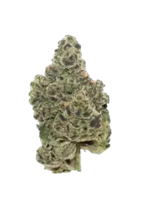Ceres No. 2 26/1