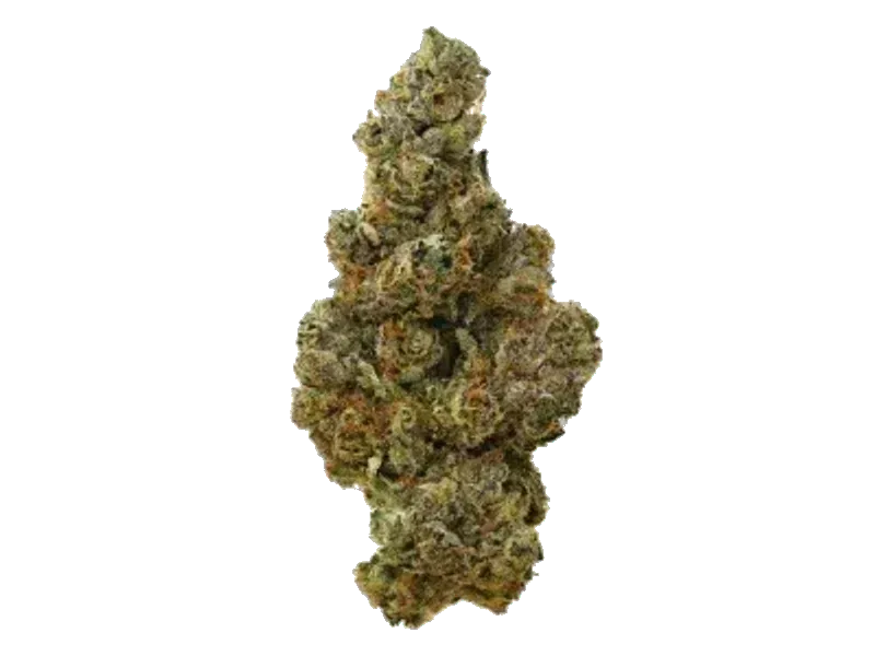 Ekolicious 27/1 GPG