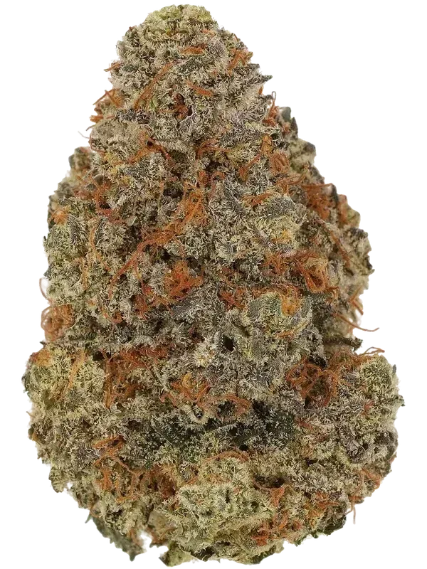 Tilray THC22 Spotlight Porto KS