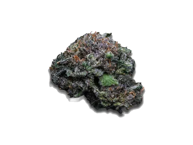 Cannamedical Indica Forte URY