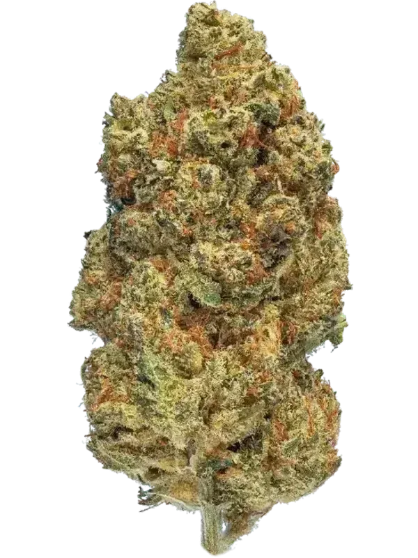 WEECO Tavira 23/1 Sour Punch