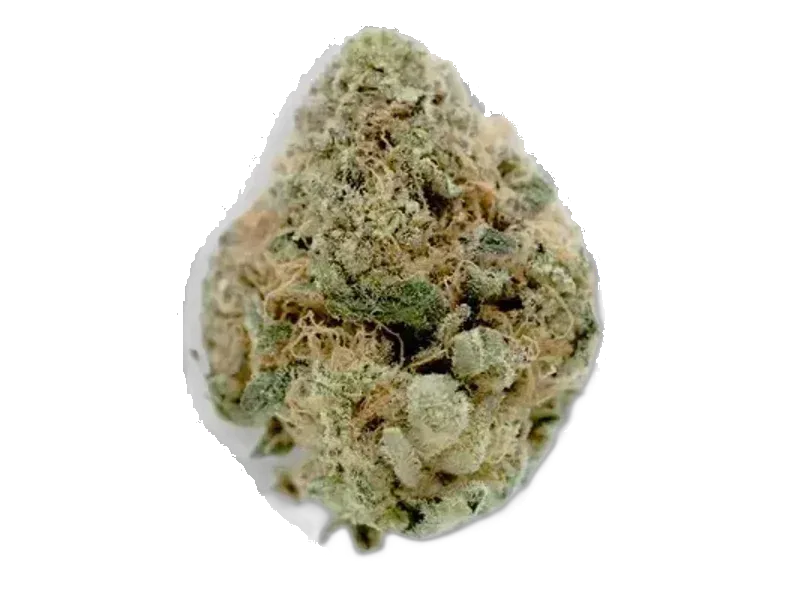 Cannamedical Sativa ultra NM