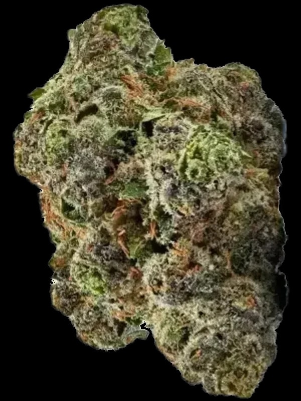 Nothern Lime Pie