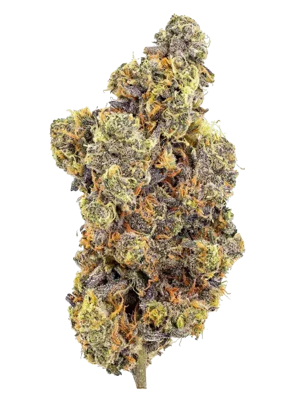 Tilray THC9:CBD9 Warlock No 2