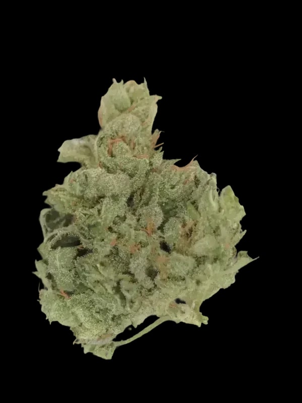 Beacon T30 Lavender Haze