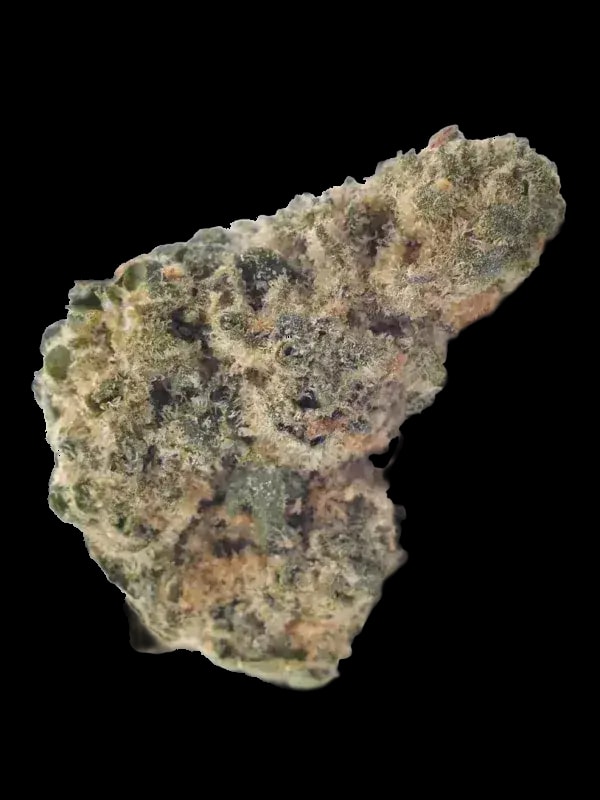 Green Karat SD 30/1