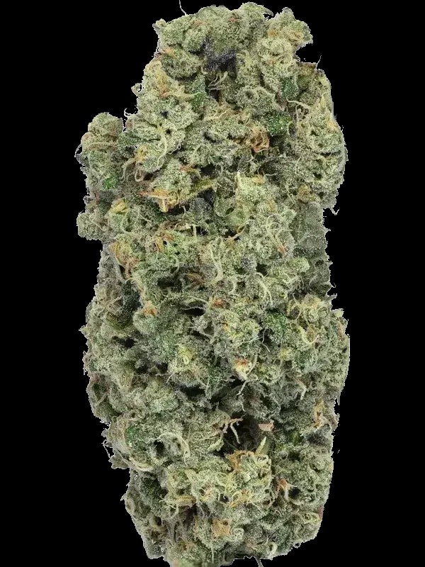 Soma OG 30/1 PF