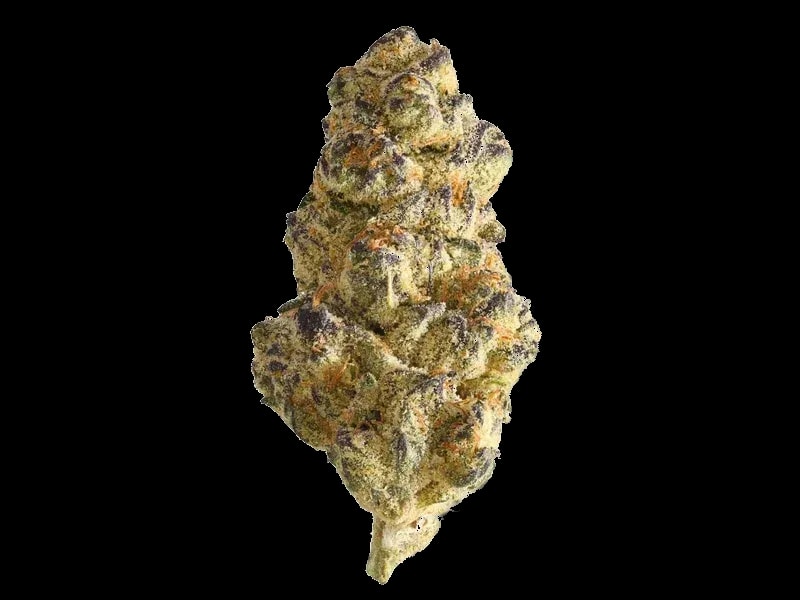 Ceres RP 29/1