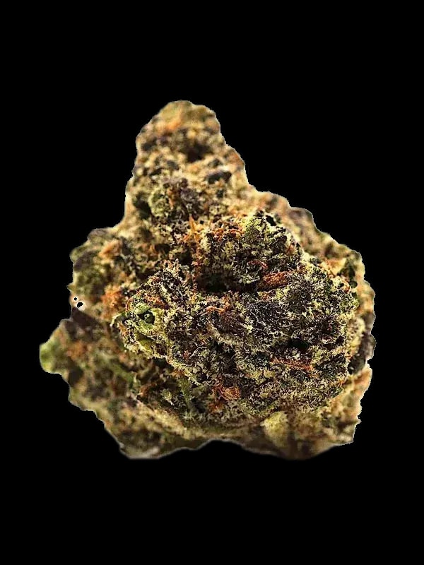 LOT 420 OC