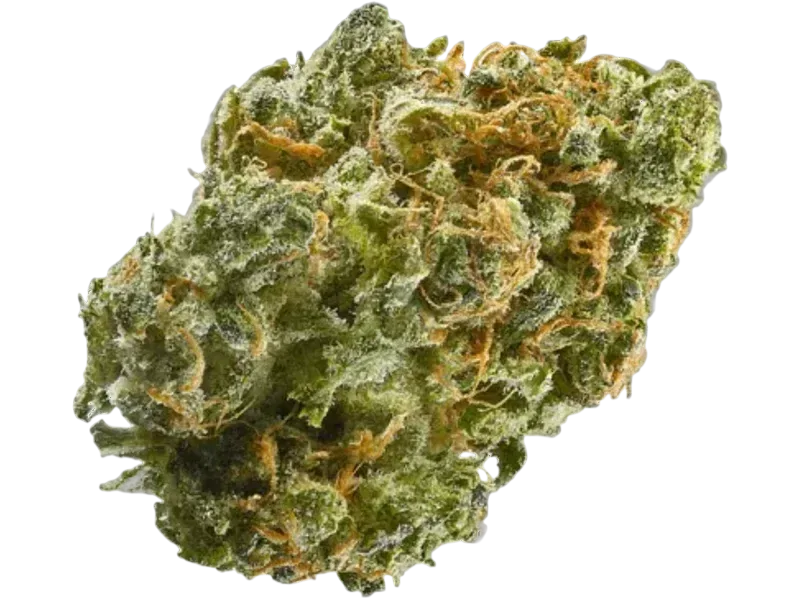 LOT 420 GNDI