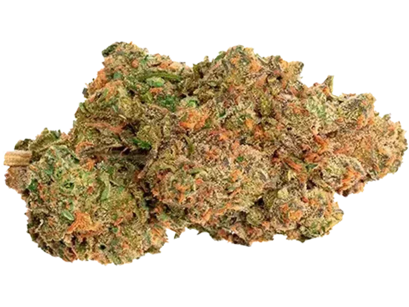 Cannabis flos 27/1 CSF Ku. Bunatic DP