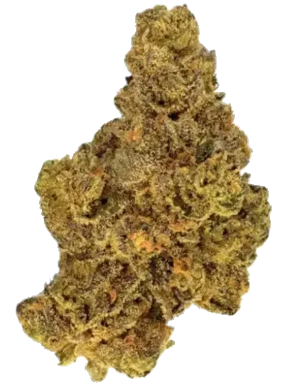 AMP Trichome CCC THC30 Cherry Cheese Cake