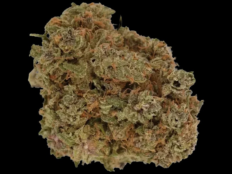 420 Evolution 27/1 CA CBB