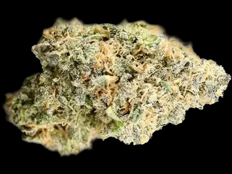 BOTANICS Purple Cream 24/1