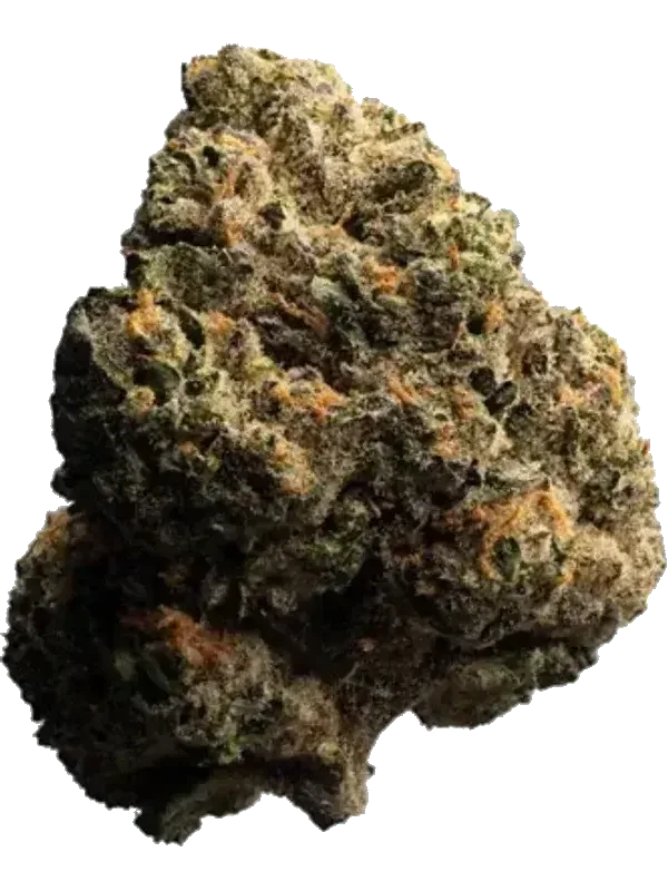 MAC