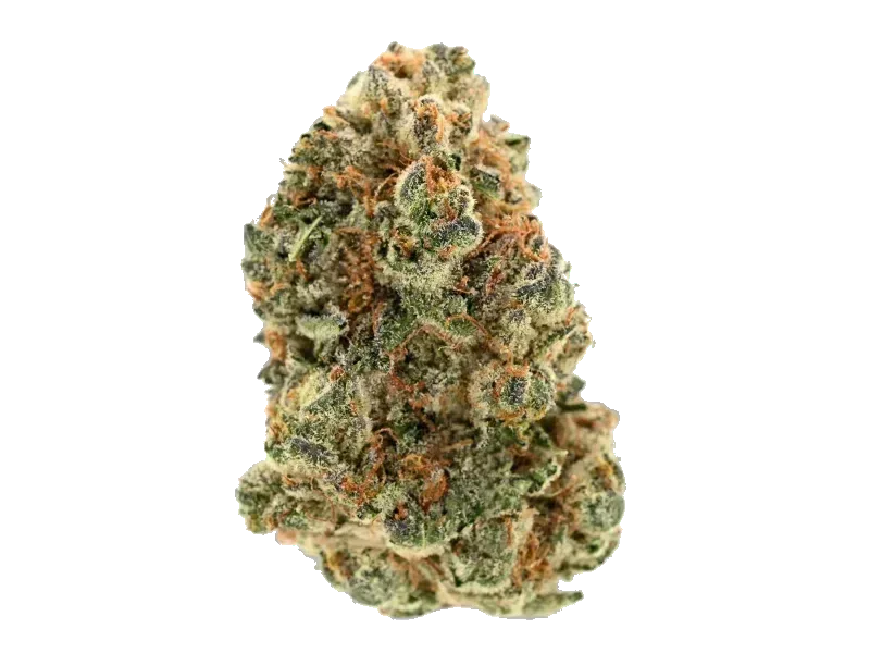 LOT 420 Gandi