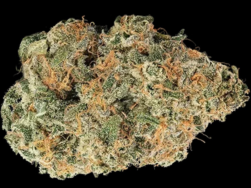 Sibanax Crescendo Cookies 22/1