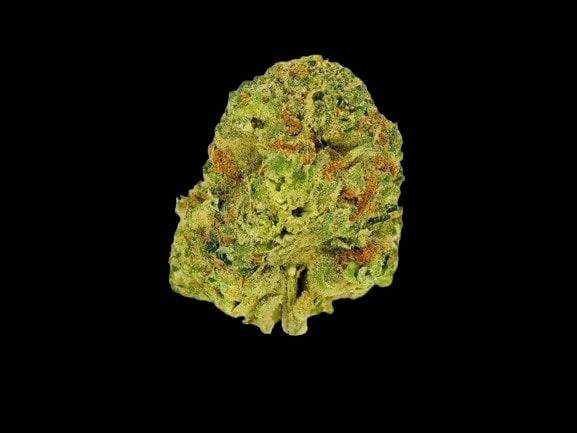 Hollymood 28/1 Rainbow Sherbert #11 Pink Guava x OZK