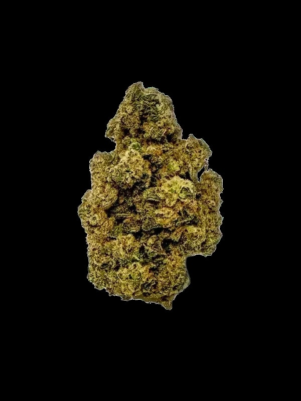 RE:CANNIS 19/1 Sativa