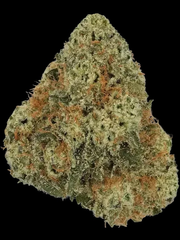 Cannamedical Hybrid Forte DK