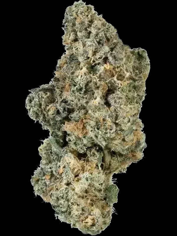 Mangorita