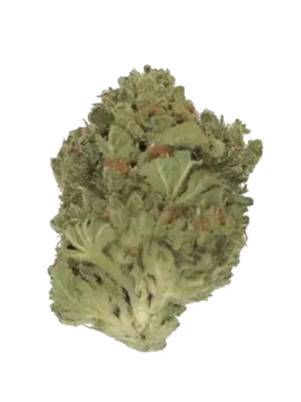 Black Pineapple