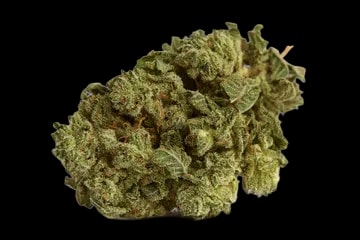 Funky Berry
