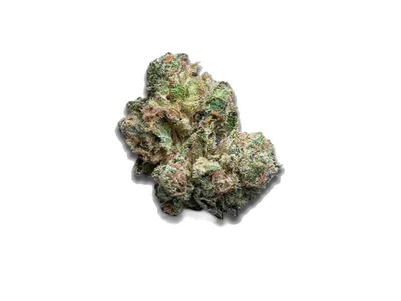 Curaleaf Natural 30/1 PT ZKS