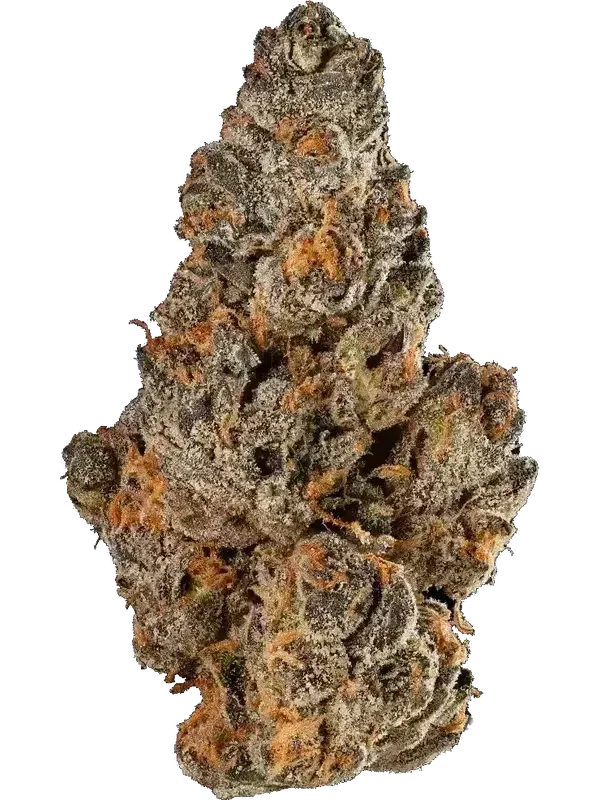 MC Regular Drop Royal Cake