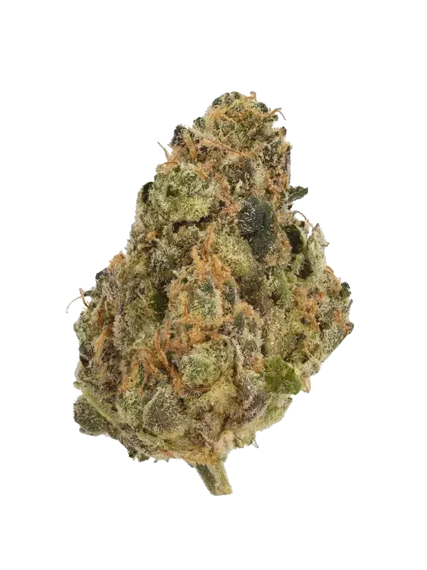 Garlic Z