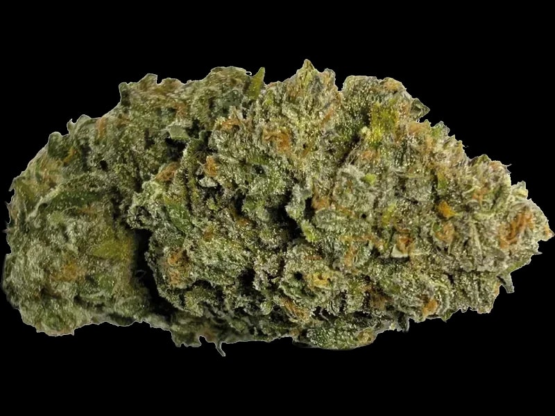 MAC 1 (Miracle Allien Cookies)