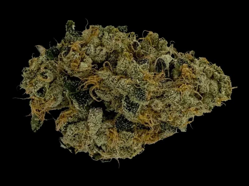 Jack Herer