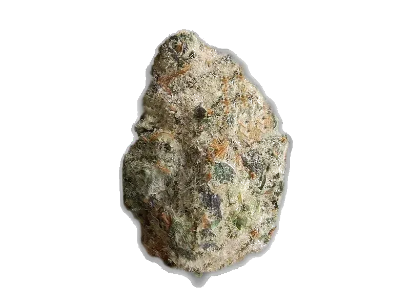 TRUU GT 22:01 Tangerine Dream