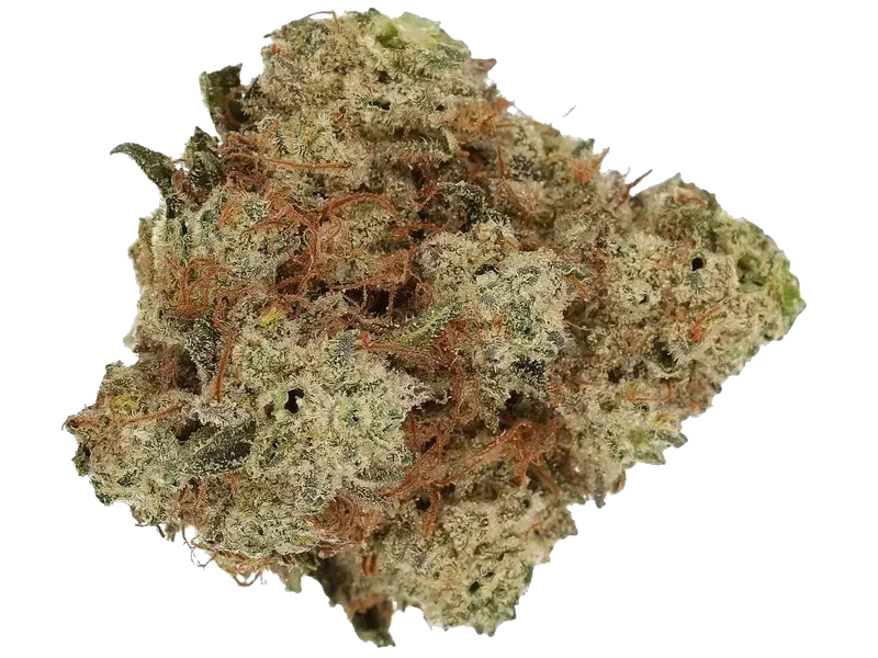 Firegold 30/1 LED