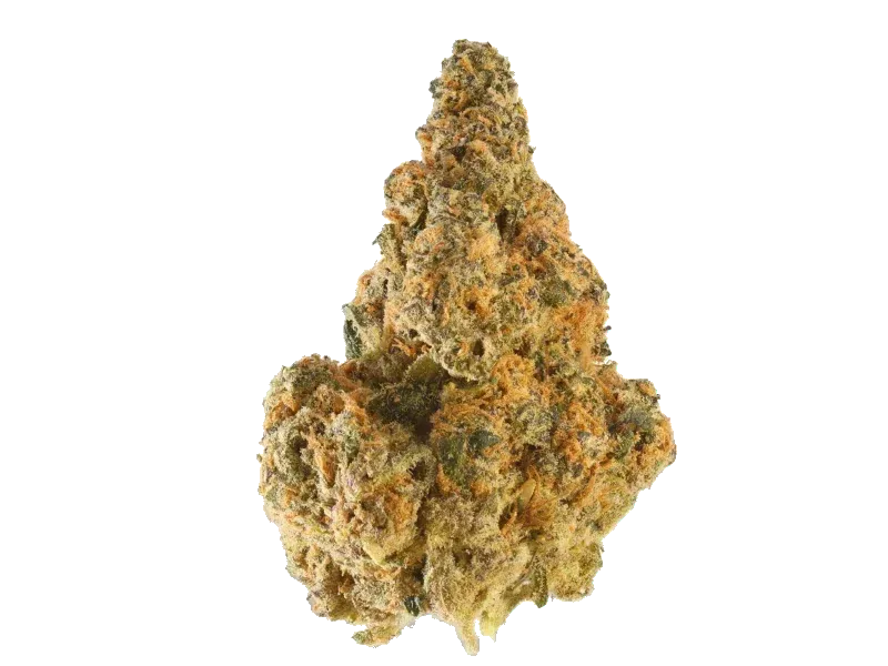 Kush Mountain Craft 27/1 GTH Ghost Train Haze