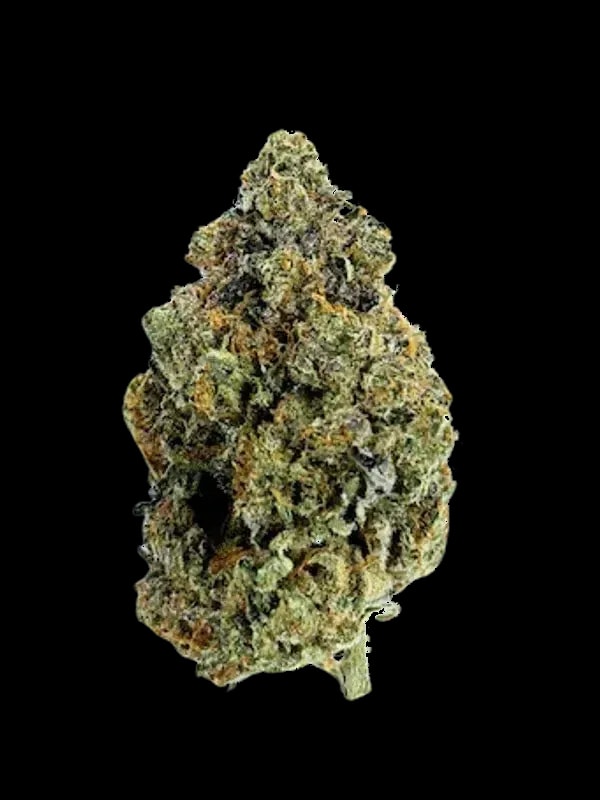 Budza 28/1 RST