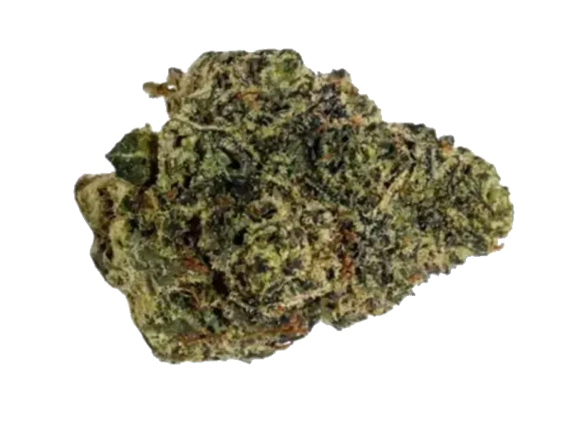 HiDealz 21/1 MS CBG Citrus Bliss Gelato smalls