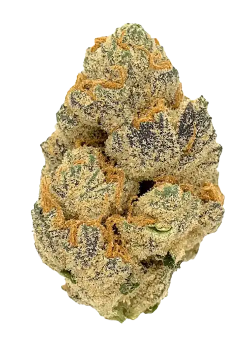 Ku. Platinum Punch